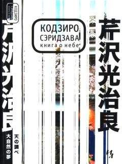 Кодзиро Сэридзава - Книга о Небе - Читать 📖 Читать онлайн 👀 Читаемые книги читать онлайн бесплатно 🔥 booksread-online.com