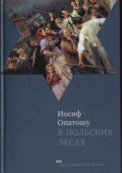 Иосиф Опатошу - В польских лесах - Читать 📖 Читать онлайн 👀 Читаемые книги читать онлайн бесплатно 🔥 booksread-online.com