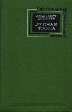 Адальберт Штифтер - Лесная тропа - Читать 📖 Читать онлайн 👀 Читаемые книги читать онлайн бесплатно 🔥 booksread-online.com