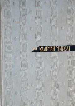 Кальман Миксат - Том 4. Выборы в Венгрии. Странный брак - Читать 📖 Читать онлайн 👀 Читаемые книги читать онлайн бесплатно 🔥 booksread-online.com