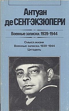 Антуан Сент-Экзюпери - Кто ты, солдат - Читать 📖 Читать онлайн 👀 Читаемые книги читать онлайн бесплатно 🔥 booksread-online.com
