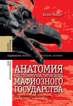 Мадьяр Балинт - Анатомия посткоммунистического мафиозного государства. На примере Венгрии - Читать 📖 Читать онлайн 👀 Читаемые книги читать онлайн бесплатно 🔥 booksread-online.com