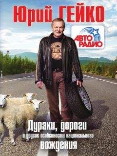 Юрий Гейко - Дураки, дороги и другие особенности национального вождения - Читать 📖 Читать онлайн 👀 Читаемые книги читать онлайн бесплатно 🔥 booksread-online.com