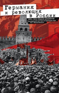 Юрий Фельштинский - Германия и революция в России. 1915–1918. Сборник документов - Читать 📖 Читать онлайн 👀 Читаемые книги читать онлайн бесплатно 🔥 booksread-online.com