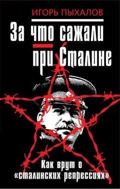 Игорь Пыхалов - За что сажали при Сталине. Как врут о «сталинских репрессиях» - Читать | Читать онлайн | Читаемые книги читать онлайн бесплатно | booksread-online.com