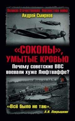 Андрей Смирнов - «Соколы», умытые кровью. Почему советские ВВС воевали хуже Люфтваффе? - Читать 📖 Читать онлайн 👀 Читаемые книги читать онлайн бесплатно 🔥 booksread-online.com