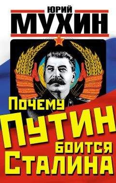 Юрий Мухин - Почему Путин боится Сталина - Читать 📖 Читать онлайн 👀 Читаемые книги читать онлайн бесплатно 🔥 booksread-online.com