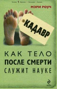Мэри Роуч - Кадавр. Как тело после смерти служит науке - Читать 📖 Читать онлайн 👀 Читаемые книги читать онлайн бесплатно 🔥 booksread-online.com