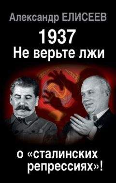 Александр Елисеев - 1937: Не верьте лжи о «сталинских репрессиях»! - Читать | Читать онлайн | Читаемые книги читать онлайн бесплатно | booksread-online.com