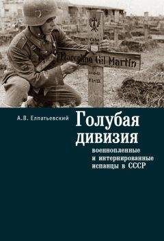 Андрей Елпатьевский - Голубая Дивизия, военнопленные и интернированные испанцы в СССР - Читать | Читать онлайн | Читаемые книги читать онлайн бесплатно | booksread-online.com