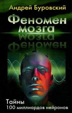 Андрей Буровский - Феномен мозга. Тайны 100 миллиардов нейронов - Читать 📖 Читать онлайн 👀 Читаемые книги читать онлайн бесплатно 🔥 booksread-online.com