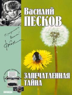 Василий Песков - Полное собрание сочинений. Том 13. Запечатленная тайна - Читать 📖 Читать онлайн 👀 Читаемые книги читать онлайн бесплатно 🔥 booksread-online.com