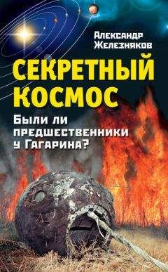 Александр Железняков - Секретный космос. Были ли предшественники у Гагарина? - Читать | Читать онлайн | Читаемые книги читать онлайн бесплатно | booksread-online.com