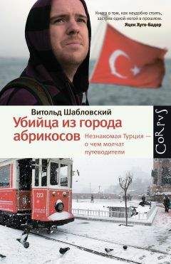 Витольд Шабловский - Убийца из города абрикосов. Незнакомая Турция – о чем молчат путеводители - Читать 📖 Читать онлайн 👀 Читаемые книги читать онлайн бесплатно 🔥 booksread-online.com