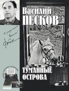 Василий Песков - Полное собрание сочинений. Том 4. Туманные острова - Читать 📖 Читать онлайн 👀 Читаемые книги читать онлайн бесплатно 🔥 booksread-online.com