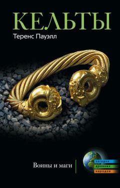 Теренс Пауэлл - Кельты. Воины и маги - Читать 📖 Читать онлайн 👀 Читаемые книги читать онлайн бесплатно 🔥 booksread-online.com