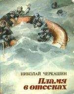 Николай Черкашин - Пламя в отсеках - Читать 📖 Читать онлайн 👀 Читаемые книги читать онлайн бесплатно 🔥 booksread-online.com