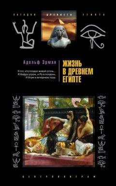 Адольф Эрман - Жизнь в Древнем Египте - Читать | Читать онлайн | Читаемые книги читать онлайн бесплатно | booksread-online.com