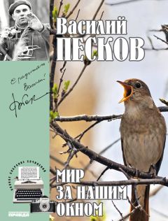 Василий Песков - Полное собрание сочинений. Том 8. Мир за нашим окном - Читать 📖 Читать онлайн 👀 Читаемые книги читать онлайн бесплатно 🔥 booksread-online.com