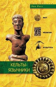 Энн Росс - Кельты-язычники. Быт, религия, культура - Читать | Читать онлайн | Читаемые книги читать онлайн бесплатно | booksread-online.com