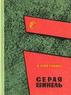 Александр Сметанин - Серая шинель - Читать 📖 Читать онлайн 👀 Читаемые книги читать онлайн бесплатно 🔥 booksread-online.com