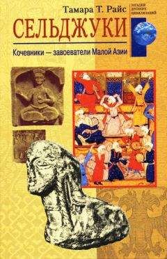 Тамара Райс - Сельджуки. Кочевники – завоеватели Малой Азии - Читать 📖 Читать онлайн 👀 Читаемые книги читать онлайн бесплатно 🔥 booksread-online.com