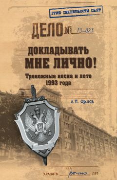 Андрей Орлов - Докладывать мне лично! Тревожные весна и лето 1993 года - Читать | Читать онлайн | Читаемые книги читать онлайн бесплатно | booksread-online.com