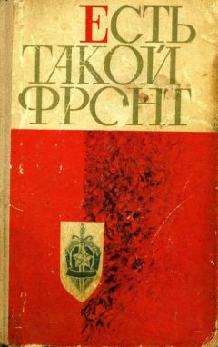 Николай Полудень - Есть такой фронт - Читать 📖 Читать онлайн 👀 Читаемые книги читать онлайн бесплатно 🔥 booksread-online.com