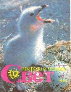 Адриан Дойл - «Золотой охотник» - Читать 📖 Читать онлайн 👀 Читаемые книги читать онлайн бесплатно 🔥 booksread-online.com