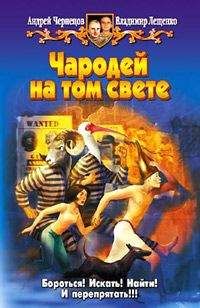 Владимир Лещенко - Чародей на том свете - Читать 📖 Читать онлайн 👀 Читаемые книги читать онлайн бесплатно 🔥 booksread-online.com
