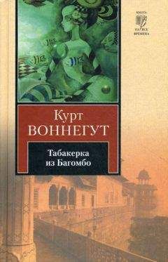 Курт Воннегут-мл - Табакерка из Багомбо - Читать 📖 Читать онлайн 👀 Читаемые книги читать онлайн бесплатно 🔥 booksread-online.com