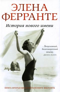 Элена Ферранте - История нового имени - Читать 📖 Читать онлайн 👀 Читаемые книги читать онлайн бесплатно 🔥 booksread-online.com