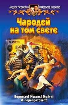 Андрей Чернецов - Чародей на том свете - Читать 📖 Читать онлайн 👀 Читаемые книги читать онлайн бесплатно 🔥 booksread-online.com