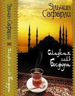 Эльчин Сафарли - Сладкая соль Босфора - Читать 📖 Читать онлайн 👀 Читаемые книги читать онлайн бесплатно 🔥 booksread-online.com