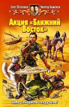 Олег Шелонин - Акция «Ближний Восток» - Читать 📖 Читать онлайн 👀 Читаемые книги читать онлайн бесплатно 🔥 booksread-online.com