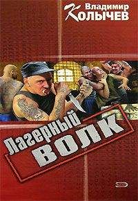 Владимир Колычев - Лагерный волк - Читать 📖 Читать онлайн 👀 Читаемые книги читать онлайн бесплатно 🔥 booksread-online.com