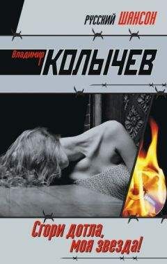 Владимир Колычев - Сгори дотла, моя звезда! - Читать 📖 Читать онлайн 👀 Читаемые книги читать онлайн бесплатно 🔥 booksread-online.com