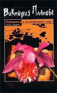 Виктория Платова - Любовники в заснеженном саду - Читать 📖 Читать онлайн 👀 Читаемые книги читать онлайн бесплатно 🔥 booksread-online.com