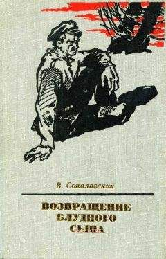 Владимир Соколовский - Возвращение блудного сына - Читать 📖 Читать онлайн 👀 Читаемые книги читать онлайн бесплатно 🔥 booksread-online.com