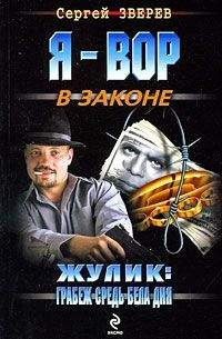 Сергей Зверев - Жулик: грабеж средь бела дня - Читать | Читать онлайн | Читаемые книги читать онлайн бесплатно | booksread-online.com