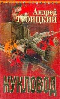 Андрей Троицкий - Кукловод - Читать | Читать онлайн | Читаемые книги читать онлайн бесплатно | booksread-online.com