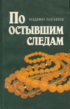 Владимир Плотников - По остывшим следам [Записки следователя Плетнева] - Читать 📖 Читать онлайн 👀 Читаемые книги читать онлайн бесплатно 🔥 booksread-online.com