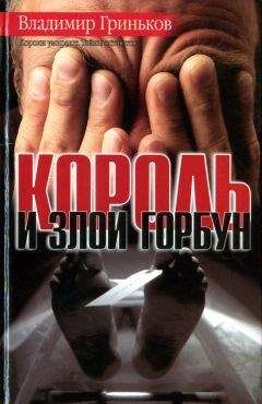 Владимир Гриньков - Король и Злой Горбун - Читать | Читать онлайн | Читаемые книги читать онлайн бесплатно | booksread-online.com