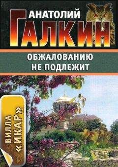 Анатолий Галкин - Обжалованию не подлежит - Читать 📖 Читать онлайн 👀 Читаемые книги читать онлайн бесплатно 🔥 booksread-online.com