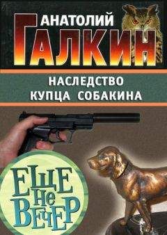 Анатолий Галкин - Наследство купца Собакина - Читать 📖 Читать онлайн 👀 Читаемые книги читать онлайн бесплатно 🔥 booksread-online.com