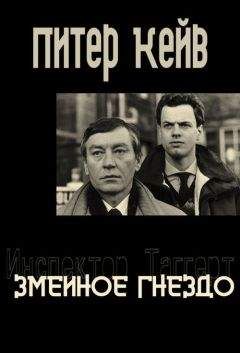 Питер Кейв - Змеиное гнездо - Читать 📖 Читать онлайн 👀 Читаемые книги читать онлайн бесплатно 🔥 booksread-online.com