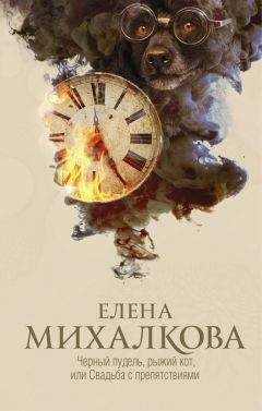 Елена Михалкова - Черный пудель, рыжий кот, или Свадьба с препятствиями - Читать 📖 Читать онлайн 👀 Читаемые книги читать онлайн бесплатно 🔥 booksread-online.com