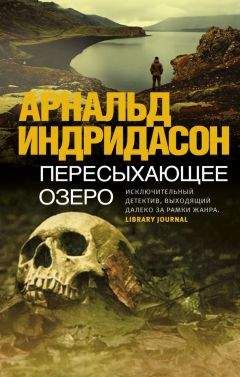 Арнальд Индридасон - Пересыхающее озеро - Читать 📖 Читать онлайн 👀 Читаемые книги читать онлайн бесплатно 🔥 booksread-online.com