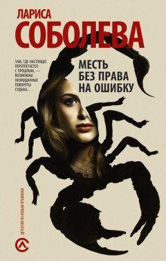 Лариса Соболева - Месть без права на ошибку - Читать 📖 Читать онлайн 👀 Читаемые книги читать онлайн бесплатно 🔥 booksread-online.com