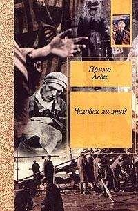 Примо Леви - Человек ли это? - Читать 📖 Читать онлайн 👀 Читаемые книги читать онлайн бесплатно 🔥 booksread-online.com